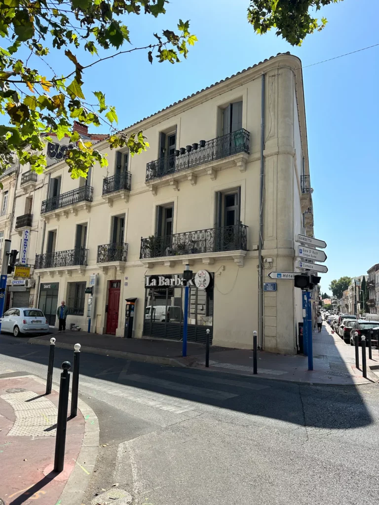 Bazille Final Pierre Le Grand Patrimoine